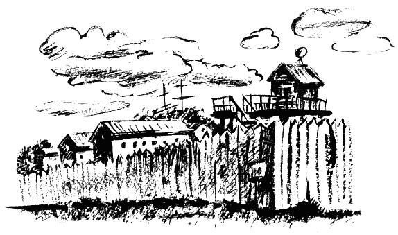 Завещание поручика Зайончковского - i_013.png