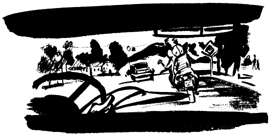 Завещание поручика Зайончковского - i_047.png