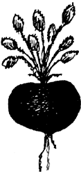 Саша и Маша - 3 - _21.png