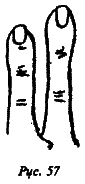 Полный курс хиромантии - i_049.png