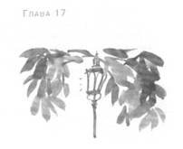 Глубина моря - i_020.jpg