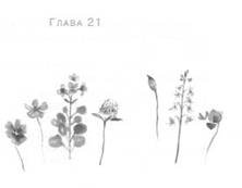 Глубина моря - i_024.jpg