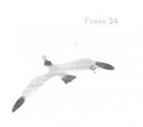 Глубина моря - i_037.jpg