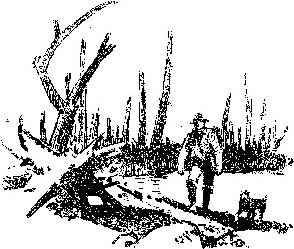Хозяйка Блосхолма. В дебрях Севера - i_038.png