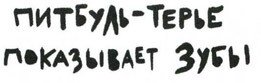 Осторожно, Питбуль-Терье! - i_005.jpg