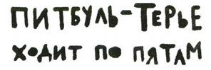 Осторожно, Питбуль-Терье! - i_038.jpg
