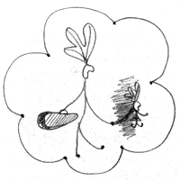 Тоня Глиммердал - i_078.png