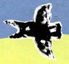 Ночные птицы - i_107.jpg