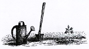 Спасибо Уинн-Дикси - i_045.jpg