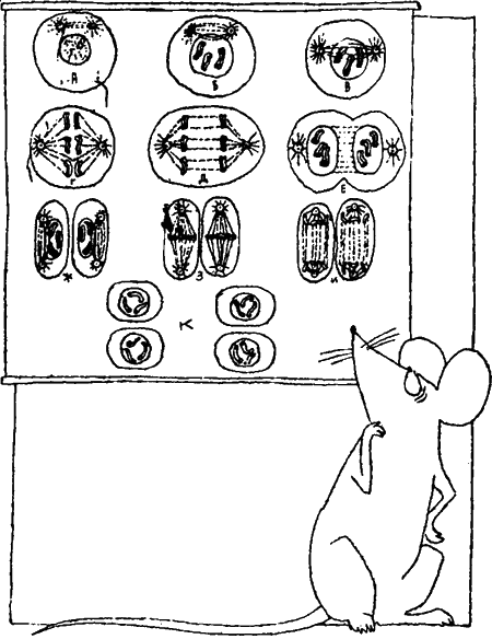 Занимательная биология - i_028.png