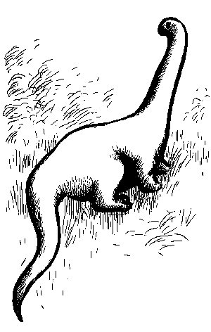 100 великих загадок Африки - i_102.png