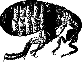 Ртуть - image_01.png
