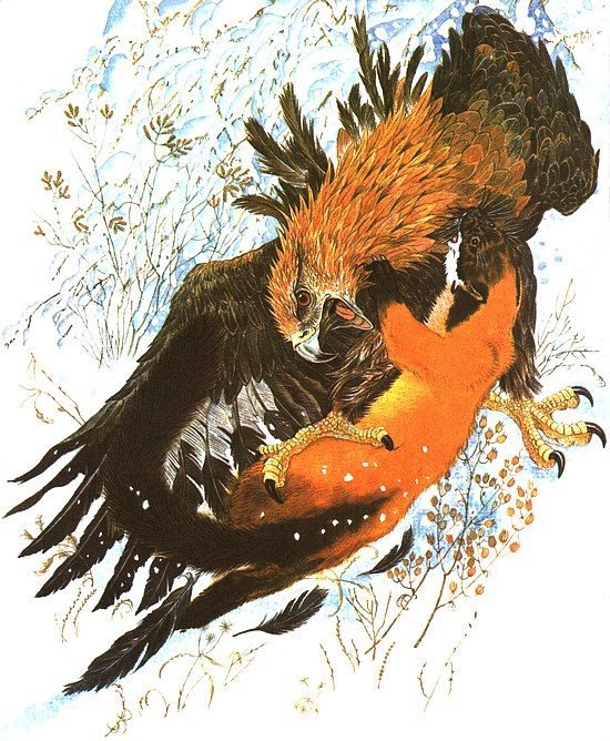 Золотая Ригма - i_052.jpg