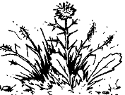 Нарушения письменной речи и их преодоление у младших школьников - i_099.png