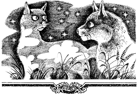 Миссия Огнезвезда. Книга 1. Искупление - i_012.png