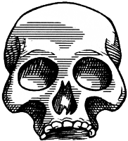 Лабиринт теней - i_010.png