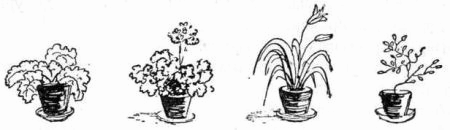 Пушистый гость - i_029.png
