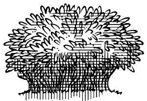 Ледяная страна - i_033.png