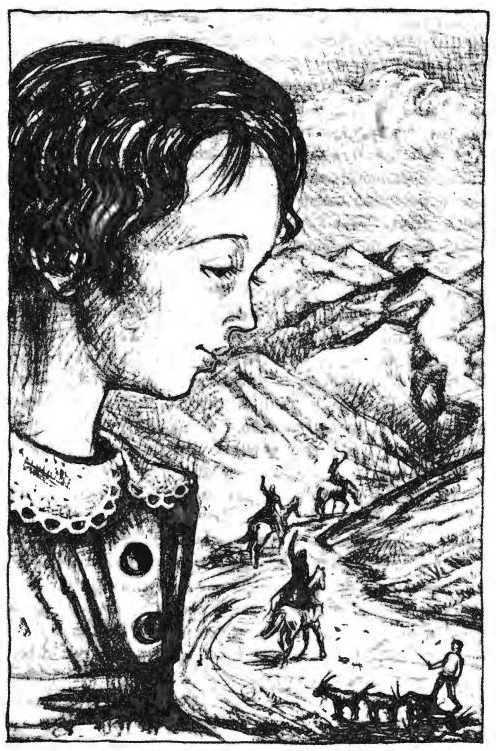 Хайди, или Волшебная долина - i_009.jpg