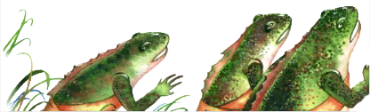Лягушачий замок - i_035.png