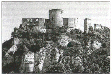 Средневековая Франция - pic_21.png