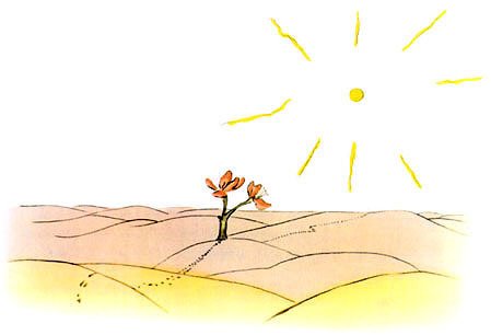 Маленький Принц - desert_rose.jpg