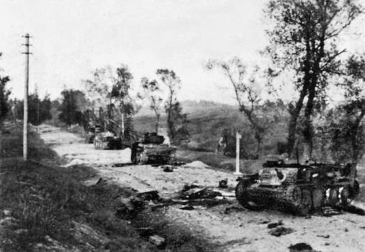 Неизвестный 1941. Остановленный блицкриг. - _13_alitus_pz38t_head_off.jpg