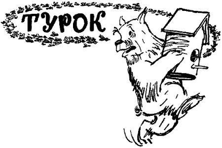 Мой тайный дневник - i_015.png