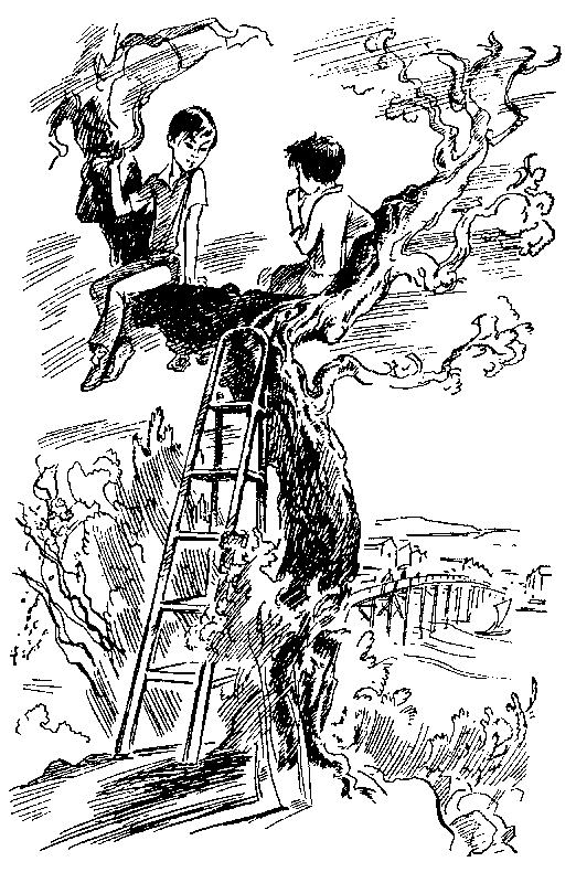 Тотто-тян, маленькая девочка у окна - g4.png