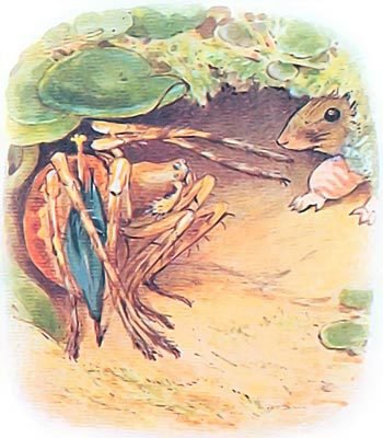 Кролик Питер и его друзья - i_043.jpg