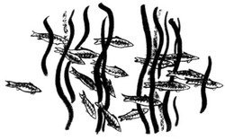 Сердце Волка - _33.jpg