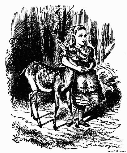 Сквозь зеркало и что там увидела Алиса, или Алиса в Зазеркалье (Пер.Н.М. Демуровой) (иллюстрациями) - bdtofb2im_18.jpg