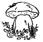 Два билета на электричку. Рассказы - img_13.png