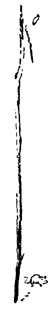 Рольф в лесах - pic087.png