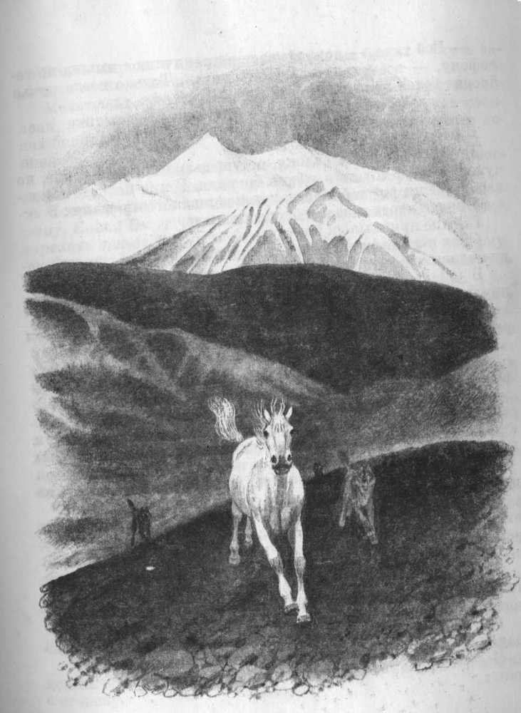 Кепка с карасями - _18.jpg