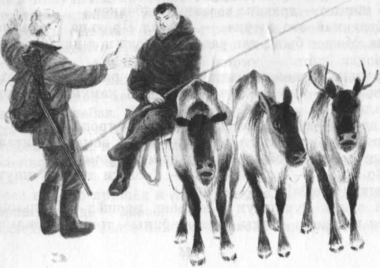 Кепка с карасями - _48.jpg