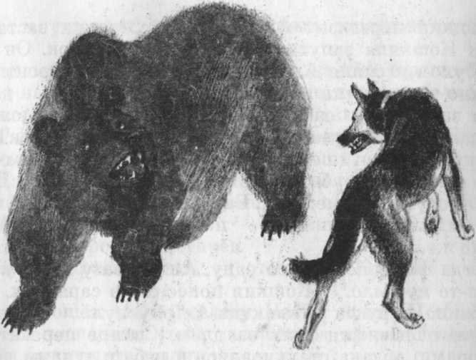 Кепка с карасями - _9.jpg