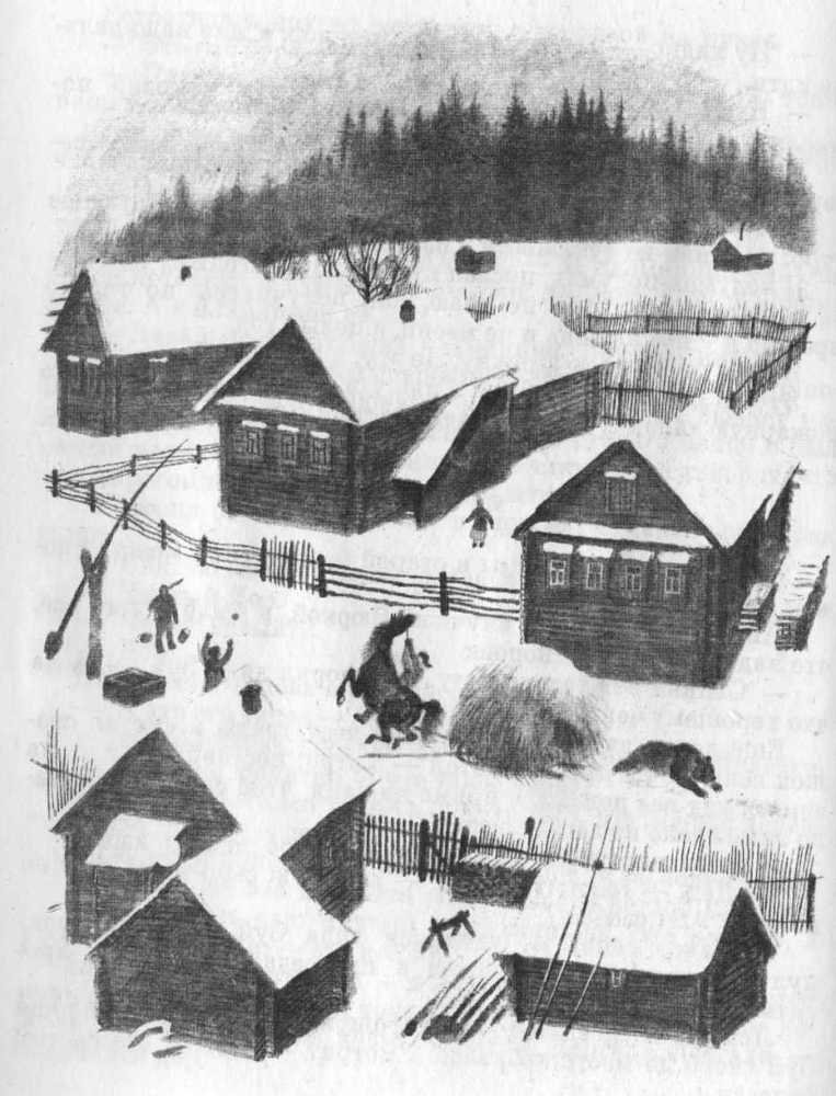 Кепка с карасями - _22.jpg