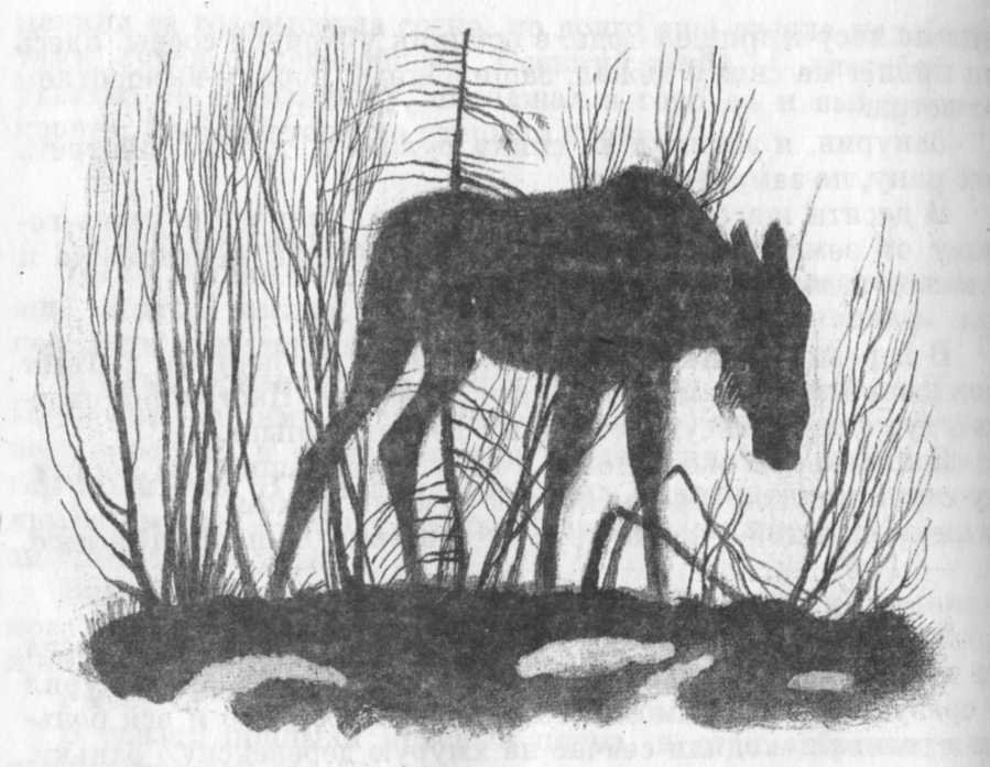 Кепка с карасями - _55.jpg