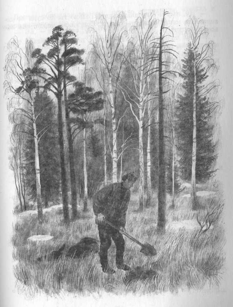Кепка с карасями - _57.jpg