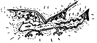 Как разговаривать по-драконьи - i_087.png