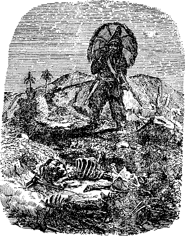 Приключения Робинзона Крузо - i_042.png