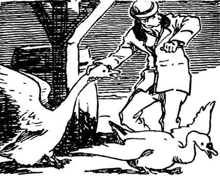 Записки о Шерлоке Холмсе (Ил. Н. Цейтлина) - imgC843.jpg