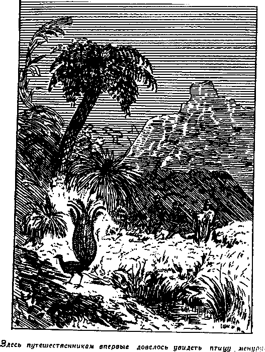Дети капитана Гранта - i_042.png
