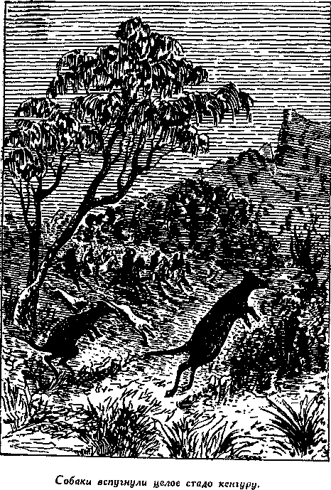 Дети капитана Гранта - i_043.png
