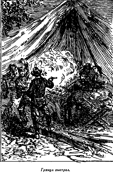 Дети капитана Гранта - i_045.png