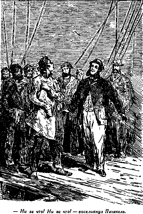 Дети капитана Гранта - i_065.png