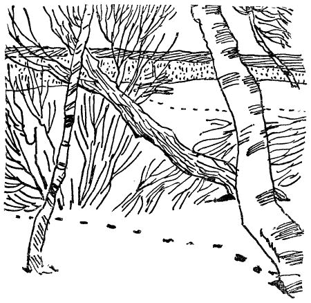 Некоторые удивительные события из жизни Бориса Пузырькова - i_013.png