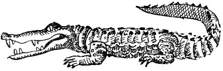 Некоторые удивительные события из жизни Бориса Пузырькова - i_053.png