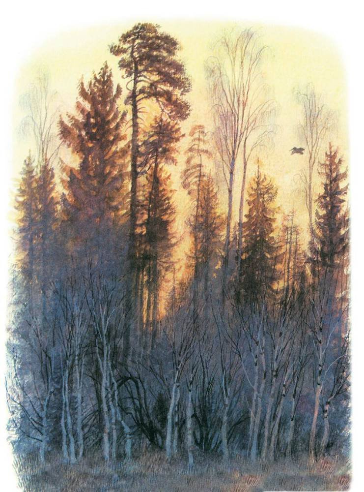Арктур – гончий пес (сборник) - _41.jpg